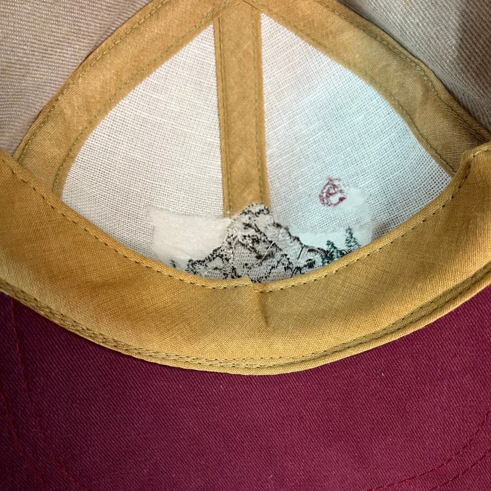 Vintage Synthes AO/ASIF Hat Impressions Denver CO Mountain Logo USA Swiss Flag